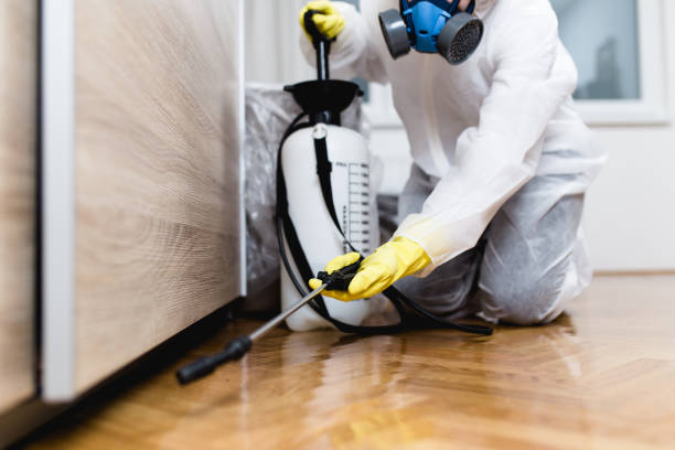 Trusted Kingstowne, VA Pest Control Experts