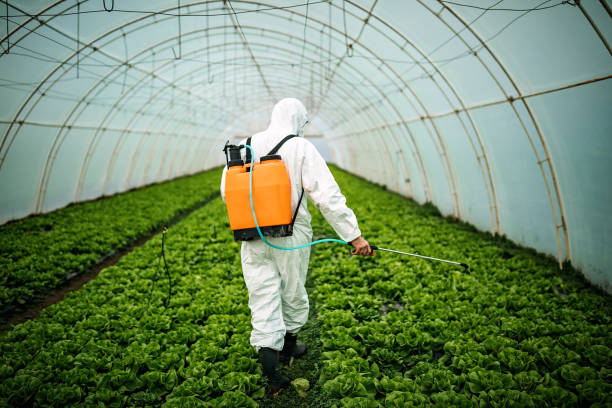 Professional Pest Control in Kingstowne, VA