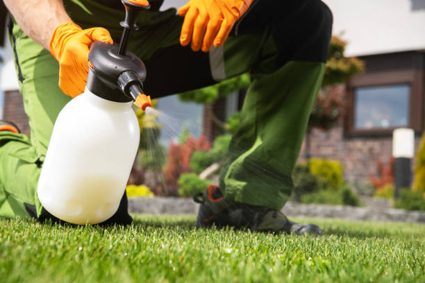Best Best Pest Control Companies  in Kingstowne, VA