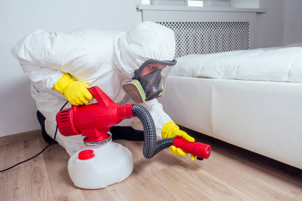 Best Affordable Pest Control Services  in Kingstowne, VA
