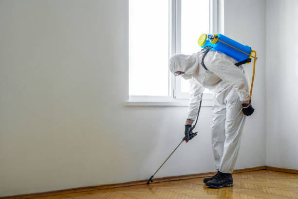 Best Pest Control Near Me in Kingstowne, VA