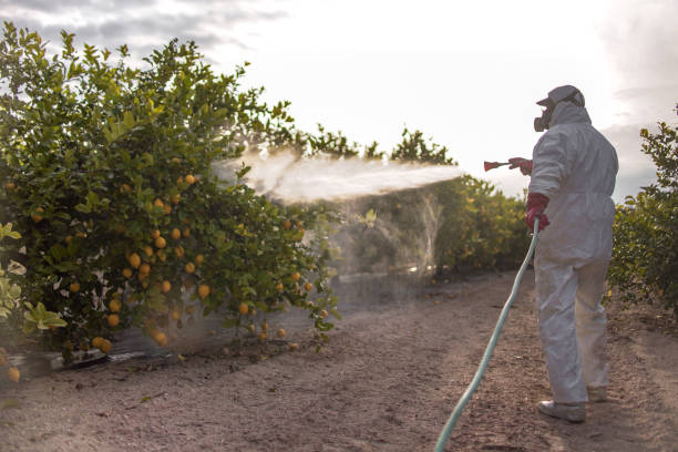 Pest Control for Restaurants in Kingstowne, VA